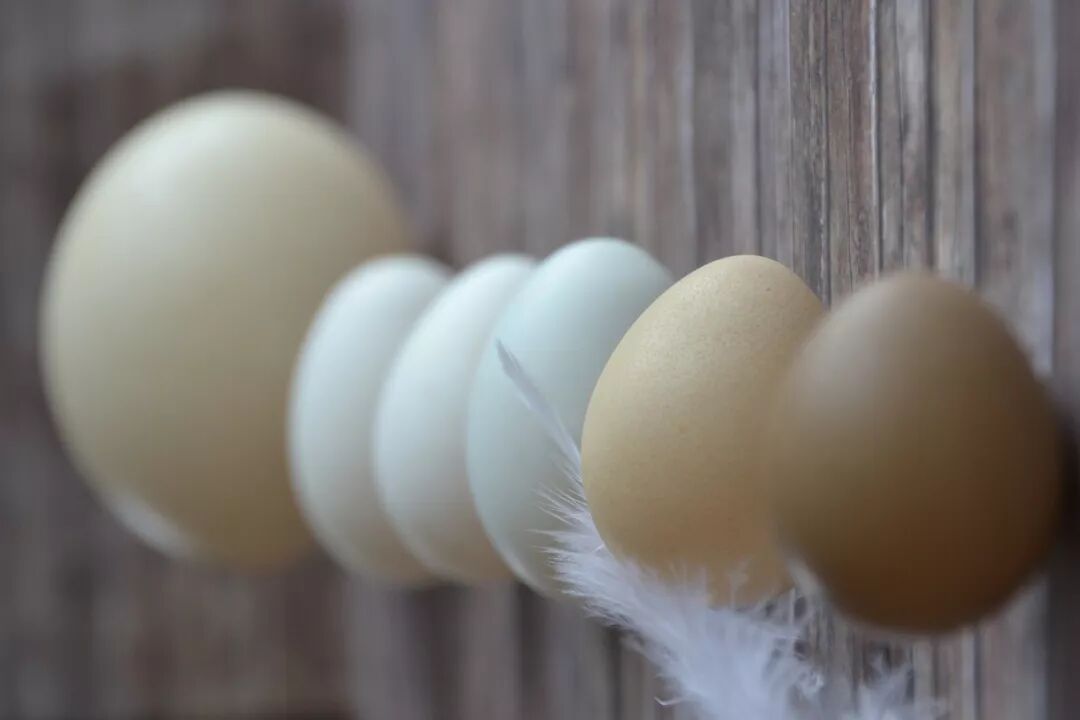 640 (3).jpg 640 (3).jpg