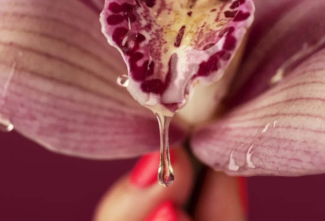 640 (2).jpg 640 (2).jpg