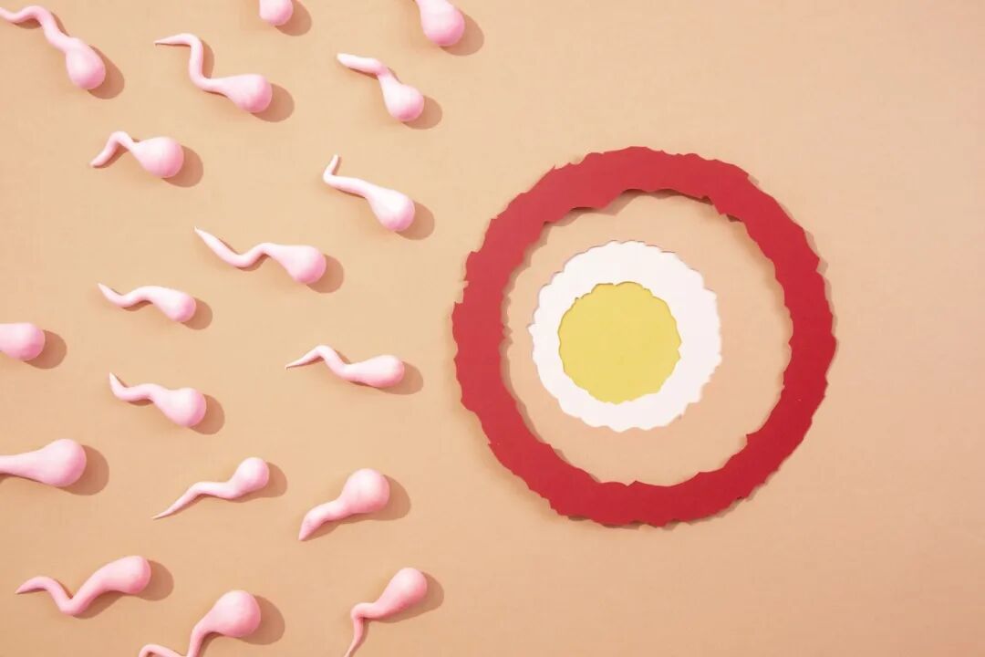 640 (4).jpg 640 (4).jpg