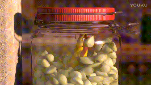 640 (6).gif 640 (6).gif